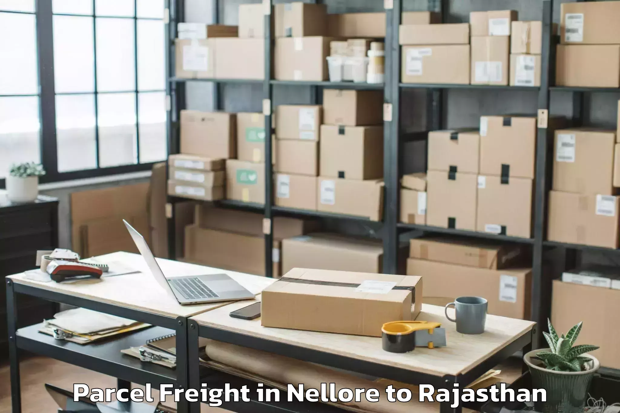 Reliable Nellore to Bhadasar Parcel Freight